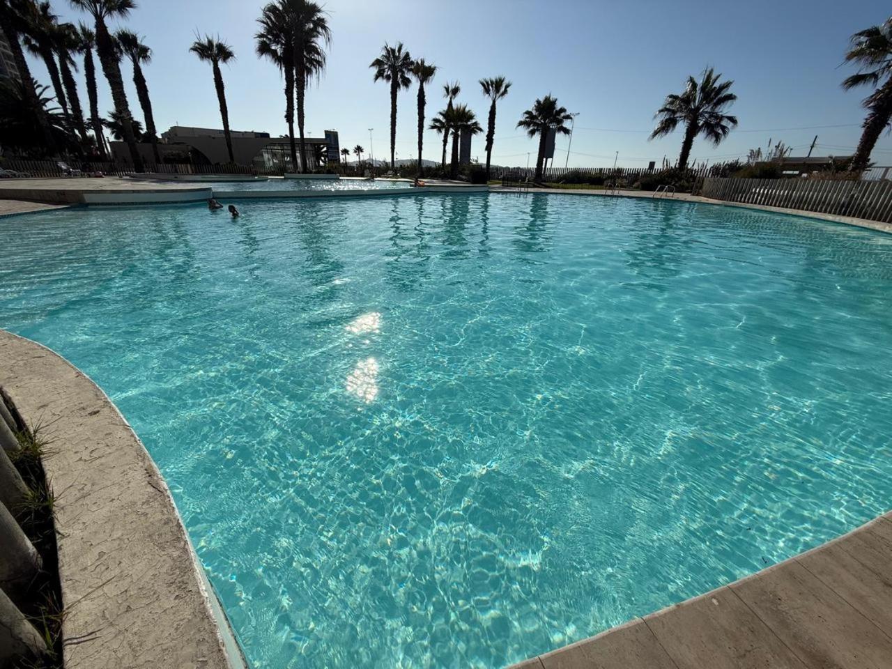 Jardin Del Mar La Serena Coquimbo