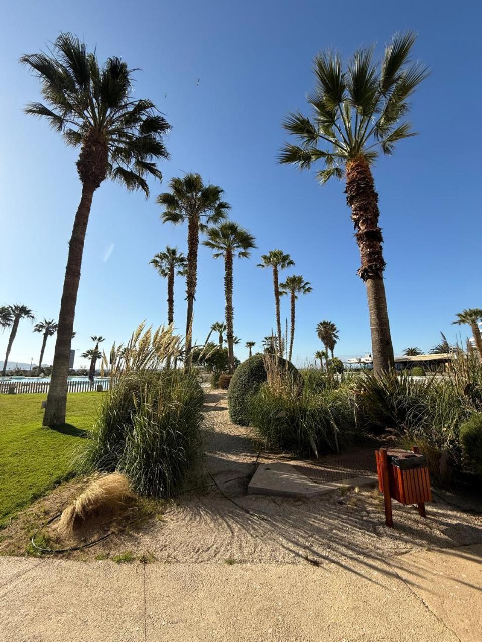 Apartamento Jardin Del Mar La Serena